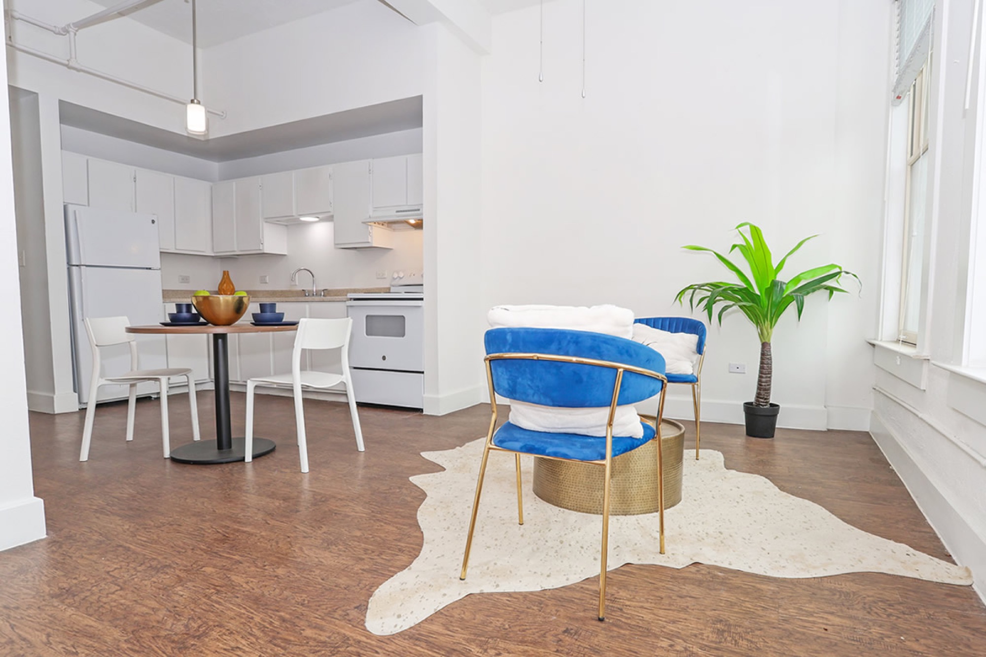 Bright apartment interior